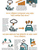 Trauma Informed_Infographic